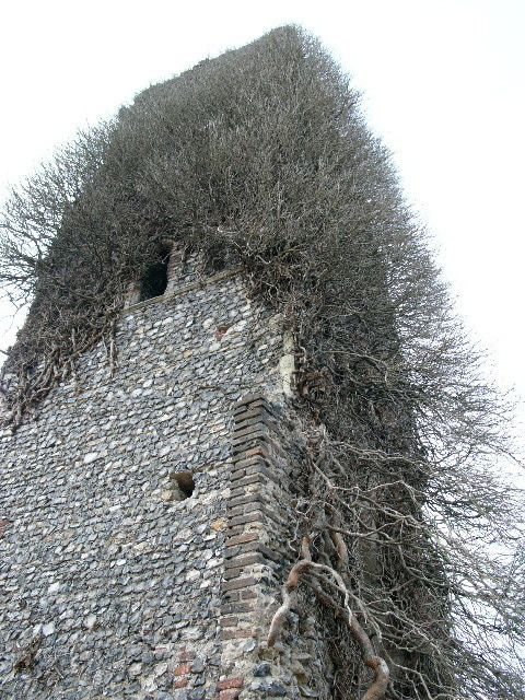 A stone tower overgrown with bare ivy