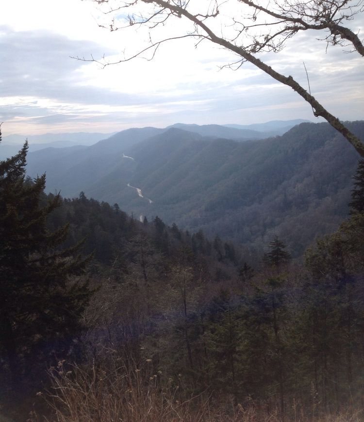 Hazy mountain valley seen through bare branches