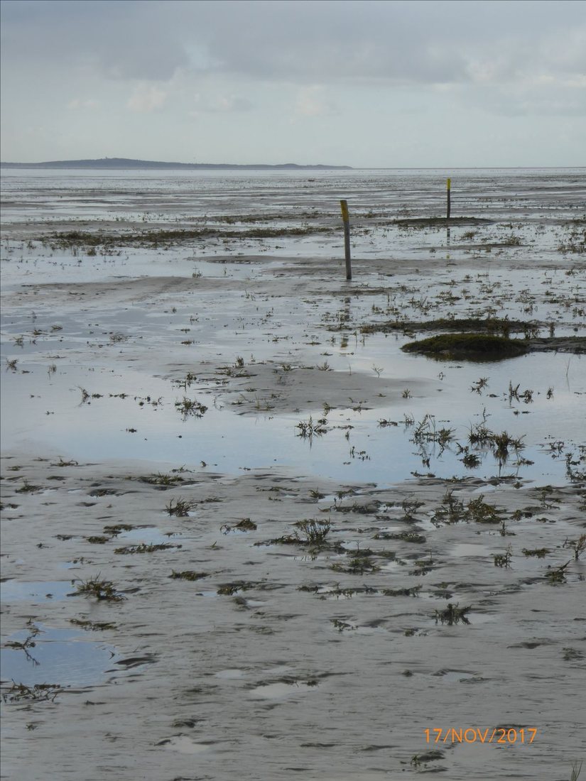 Wet mudflats with two posts, a date stamped in the corner