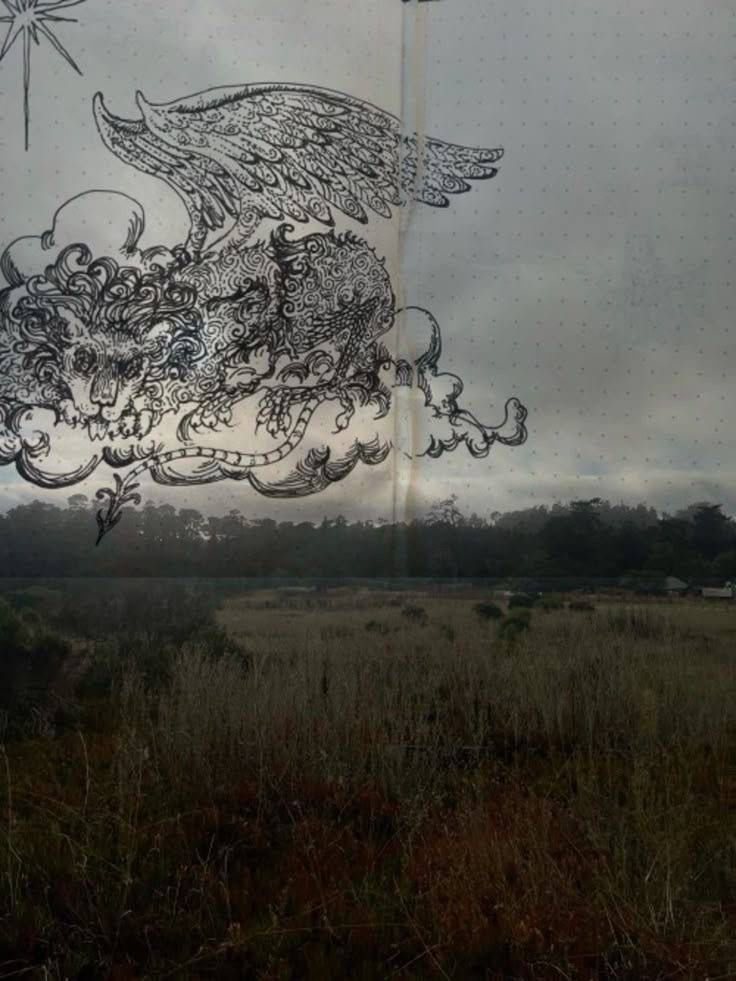 Ink drawing of a winged beast over a grey field